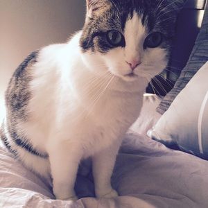 Meet your Posher, Kenedy